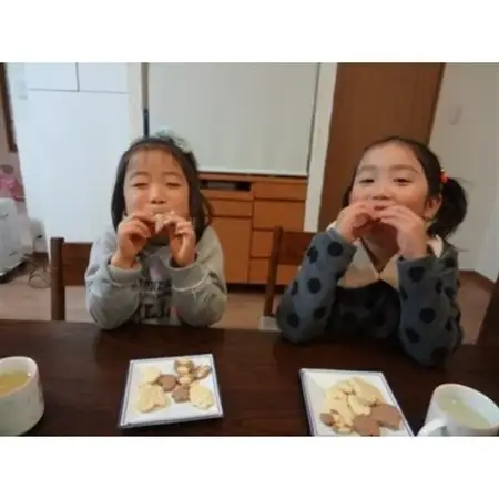 国内産小麦100%使用　切って焼くだけ!冷凍クッキー生地8本セット【配送不可地域：離島】【1207309】