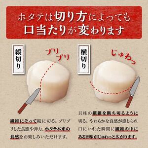 【数量限定】【訳あり】オホーツク産お刺身用ホタテ【1kg】※袋はファスナー付きだからとっても便利※_K021-0488