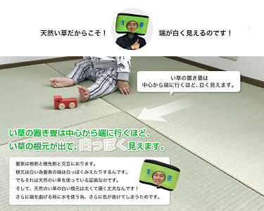 佐賀県産い草置き畳 82cm角4枚セット：C104-005
