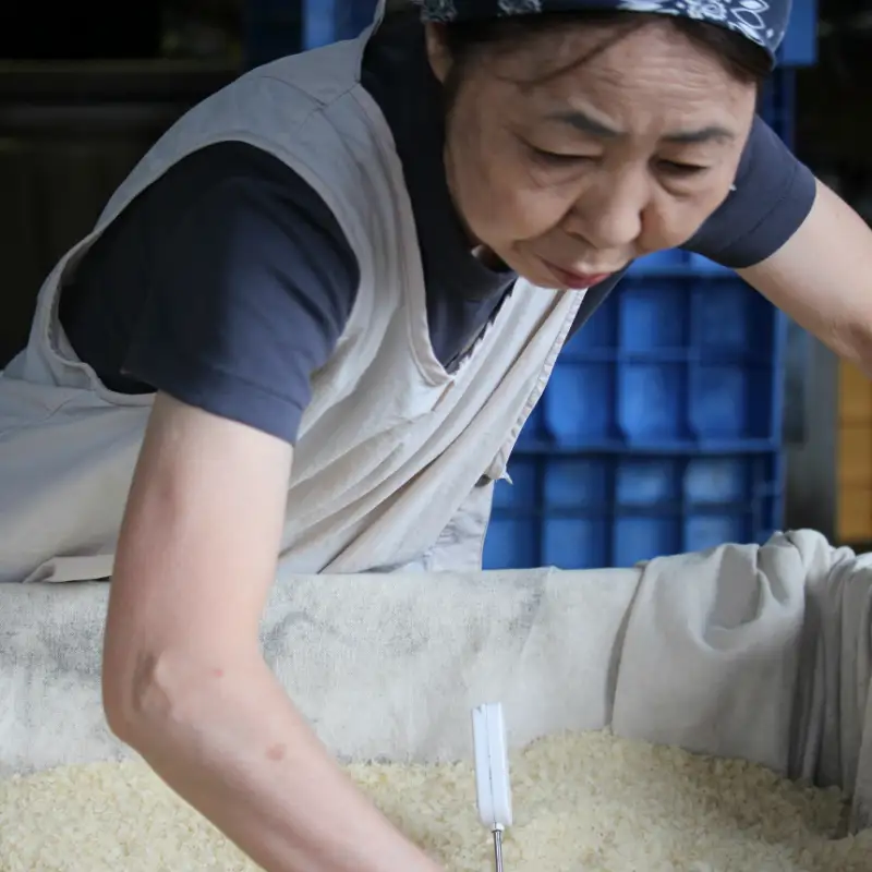 福岡県産米と大豆を使用した無添加生米味噌の定期お届け便【隔月定期便(計6回発送)】【D2-006】
