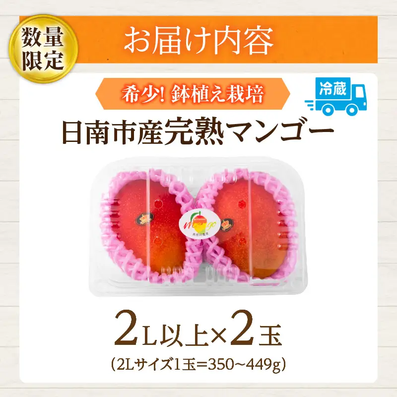 数量限定 希少 完熟マンゴー 鉢植え栽培 2L以上 × 2玉_CB82-23