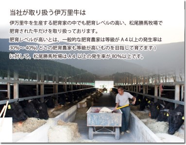 伊万里牛 ぎゅ～と 定期便 スペシャル 3回便 すき焼き ステーキ 焼肉 999-J319