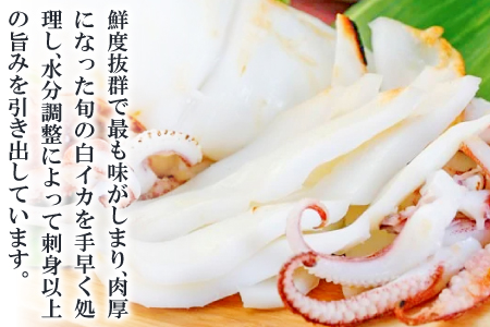 「釣りものケンサキイカに厳選」白いか一夜干（3枚入）【いか一夜干し 白いか 干物 60～80g 3枚 一夜干し 一夜干 イカ いか ケンサキイカ 贅沢 おつまみ お酒の肴 贈答 ギフト 冷凍 父の日 母の日】
