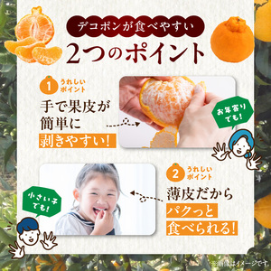 BD6004n_デコポン 秀品 約 5kg 18 ～ 24玉 不知火 甘味 濃厚 ジューシー 甘い 果汁 大きい果肉 薄皮 高品質 糖度 13度以上 柑橘 フルーツ 果物 食品 国産 有田産 和歌山県 湯浅町 マルナガ お取り寄せ 送料無料