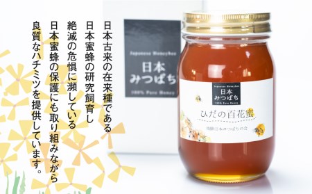飛騨日本みつばちの会 ひだの百花蜜 600g 1本 はちみつ 蜂蜜 ハチミツ[Q414]