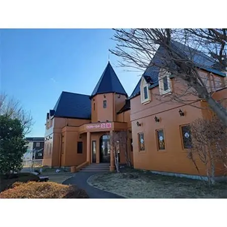 【佐野餃子(中)野菜餃子24個4人前】×2袋と【濃縮佐野ラーメン】6人前_ラーメン 餃子 セット 佐野 栃木県 人気 おすすめ 送料無料 贈答 ギフト プレゼント 中華 冷凍 永華 佐野餃子 佐野ラーメン_【配送不可地域：離島・沖縄県】【1061581】