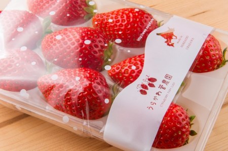 【今が旬！】北海道浦河産いちご「やよいひめ」230g×3P[13-883]