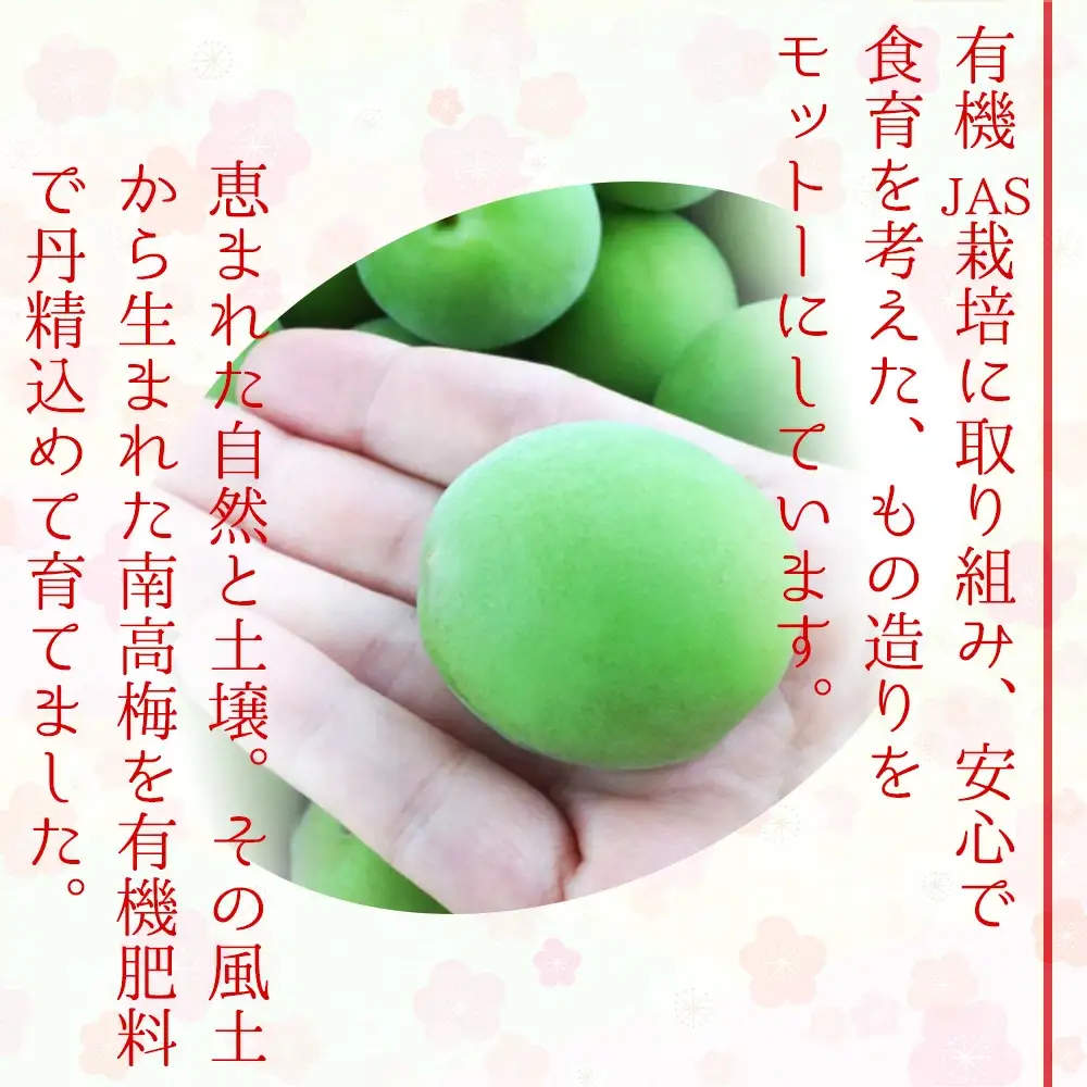 有機JAS認証　高田の梅「昔ながらのしそ梅干」塩分約18％（400ｇ）　tkdkaen001A【tkdkaen001A】