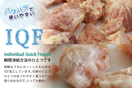 鶏肉 若鶏 もも & むね 切身 各 250g ×5p 合計 2.5kg [九州児湯フーズ 宮崎県 美郷町 31aj0050]