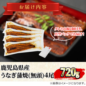 東串良町 うなぎ 蒲焼 (無頭)(4尾・計約720g・タレ、山椒付) 高級 ウナギ 鰻 国産 たれ 鹿児島 ふるさと 人気【アクアおおすみ】【0264363a】