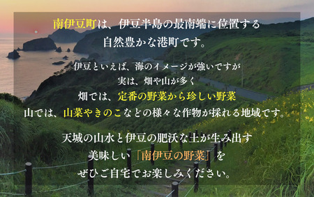 旬の野菜と果物セット　【 野菜 】