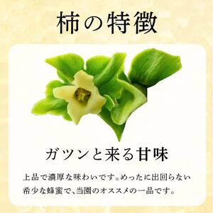 柿の天然はちみつ 900g(300g×3) 伊達市産 国産 天然 蜂蜜 ハチミツ ハニー F20C-294