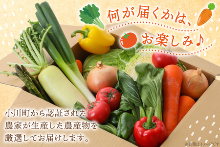 OGAWA'N 野菜 セット 定期便 6回 [JA埼玉中央 埼玉県 小川町 137]