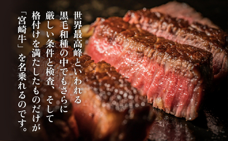 ＜冷凍＞希少部位！A4等級以上！宮崎牛ヒレステーキ(約140g) 牛 牛肉 肉_K008-015