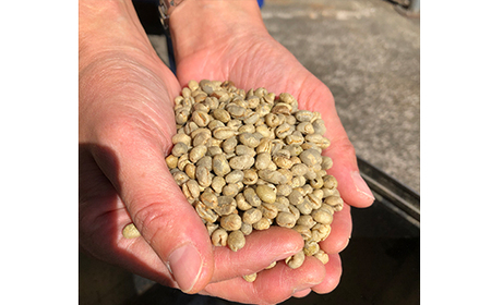 【粉】サントスピーベリー1kg 自家焙煎コーヒー豆専門店とみかわ 富山 魚津