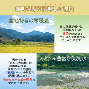 梨 旬 5kg 先行予約 2026年発送 平野果樹園 錦の梨 なし フルーツ 果物 デザート 配送不可:離島 