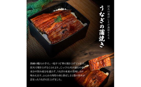 うなぎの蒲焼き１尾＋白焼き１尾入り（特製タレ付き）★ ヤマシン特選★