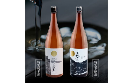 美丈夫 特別純米酒＆特別本醸造 ２本セット 1800ml×2本 