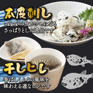 ＜毎月数量限定＞年末年始や宴会に！とらふく本格刺身セット(2人前) 刺身 セット とらふく_K023-001