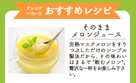 メロンピューレ 120g×6袋 ピューレ tn-0007