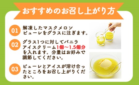 ピューレ メロンピューレ バニラアイスクリーム 3個セット【テレビで紹介 メロン農家が作ったメロンピューレ ピューレ アイスセット 完熟マスクメロン100％】  tn-0028