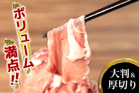 豚肉 切り落とし 4kg 小分け 真空パック ( 500g × 8 )【キビまる豚】国産  67-3