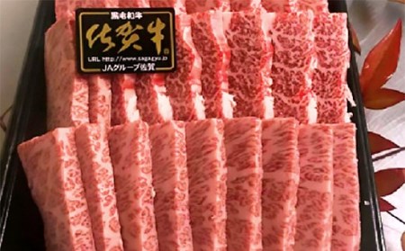 老舗の佐賀牛 特極撰 定期便 _f-30