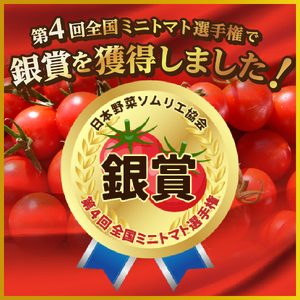 FUJITOMA　（フルーツトマト）　1kg ミニトマト 野菜 フルーツ 高糖度 