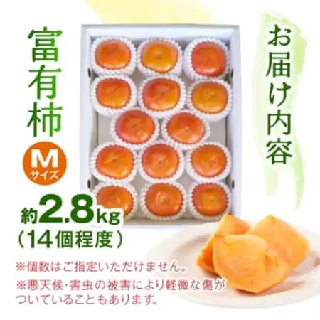柿【2026年度発送分】ケーズファーム　富有柿　M　14個程度(約2.8kg)【1135662】