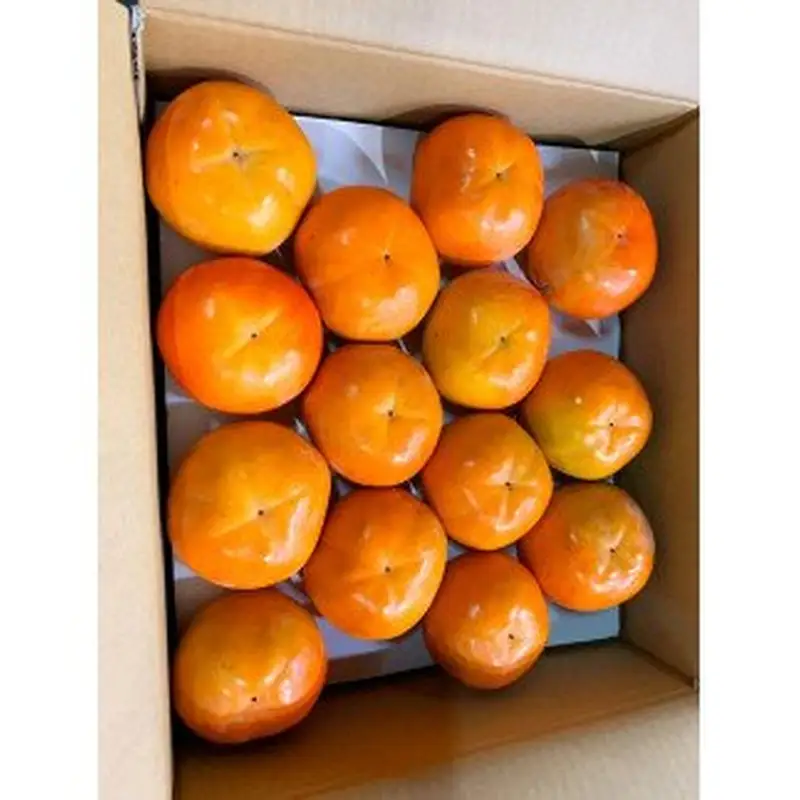 和歌山秋の味覚　富有柿　約4kg　化粧箱入　【uot703】