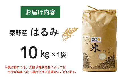 【専用】はるみ米　10キロ 秦野のお米「はるみ」10kg ｜令和7年産米 | 神奈川県秦野市 | ふるさと