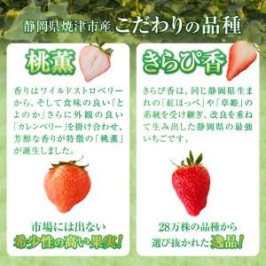 a10-587　いちご「桃薫 きらぴ香」食べ比べ セット 計4パック