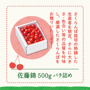【先行予約】 令和8年産 さくらんぼ 佐藤錦 500g ( バラ詰め ) 2026年6月上旬～下旬頃お届け予定 山形県 米沢市