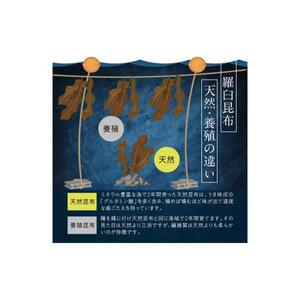 羅臼昆布 天然 2等 （Lサイズ330g×2個)  ｜ こんぶ 北海道 