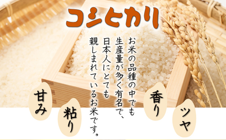 ＜令和7年産米＞宮崎県串間市産！超早場米「コシヒカリ」(5kg×1袋)_K007-001