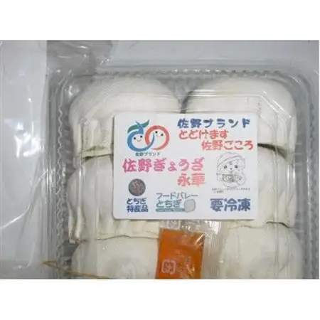 佐野餃子(大)10個2人前×2パックと濃縮佐野ラーメン6人前_ラーメン 餃子 セット 佐野 栃木県 人気 おすすめ 送料無料 贈答 ギフト プレゼント 中華 冷凍 永華 佐野餃子 佐野ラーメン_【配送不可地域：離島・沖縄県】【1061579】