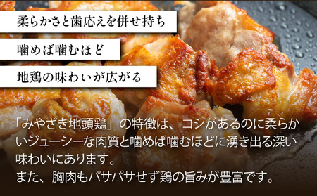 ＜認定農家直送＞のびのびと育てたみやざき地頭鶏の生肉セット(合計1kg・モモ肉300g×2P、ムネ肉200g×2P)_K014-002