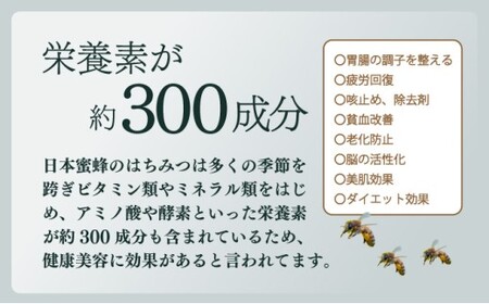 サポートも致します「日本蜜蜂養蜂スターターキット」2個セット_K017-001