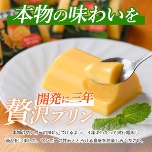 マンゴースイーツ マンゴー農家の贅沢プリン(6個)とプレミアムゼリー(3個)セット マンゴーの森 IB040-006 マンゴー プリン マンゴー プリン 