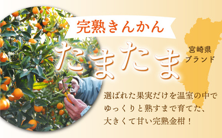 串間市産きんかんたまたま使用！たまリッチアイス詰合せ(9個)_K004-002