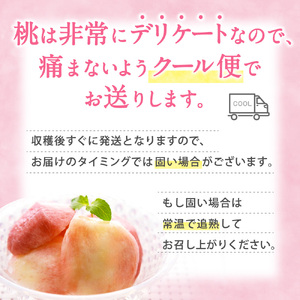 桃 白桃 11～15玉入り 秀品【2026年6月下旬から7月中旬ごろ発送】【S96001-mtgn045】