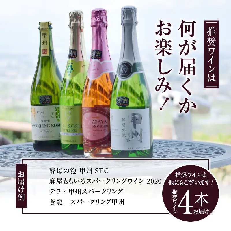 ワイン 勝沼ぶどうの丘推奨スパークリングワイン4本セット（KBO）D-620