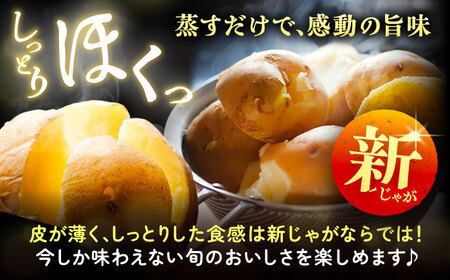 【先行予約】北海道産じゃがいも 男爵 10kg（LM混合）【足寄町/党崎農場】じゃがいも[BEAA006]