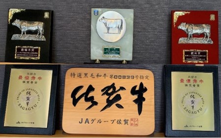 丸福 特選佐賀牛モモスライス 1kg ／ スライス【C044】