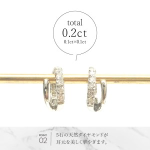 Pt950ダイヤ×地金ツインイヤリング EA-1135