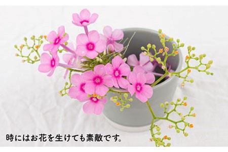 【波佐見焼】iroiro そばちょこ ペールカラー6点セット 食器 皿 【藍染窯】 [JC40]  波佐見焼