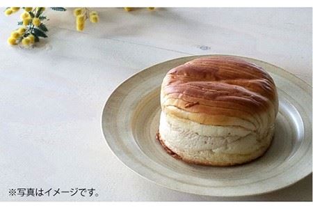 【陶器市特集】【波佐見焼】Shabby chic style 19cm プレート 4枚セット 食器 皿【和山】 [WB86]  波佐見焼