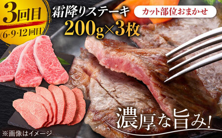 【12回定期便】A4 A5 佐賀牛 霜降り総計12kg[FAY024]