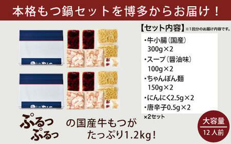 もつ鍋 やまや 定期便 6回 隔月 1.2kg 12人前 [um40azo860008] もつ鍋