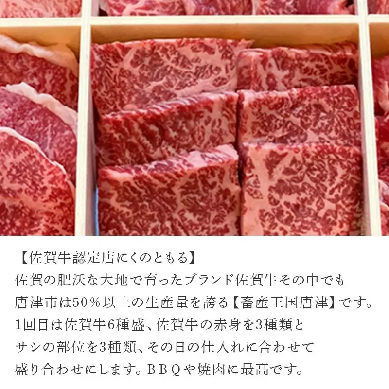 「定期便全3回」 佐賀牛 BBQや焼肉好きな方におすすめ 寄附翌月から発送 6種盛360g モモブロック800g ヒレ300g (合計1.46kg) A5～A4等級 ギフト 贈り物 アウトドア